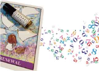 HIKARIスピリットカードとは